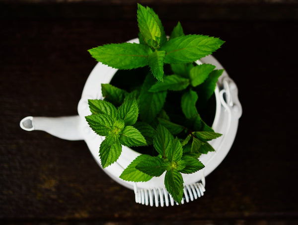 DIY Seasonal Allergy Relief with Organic Peppermint – Simply Smita